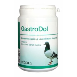 GASTRODOL 300 g