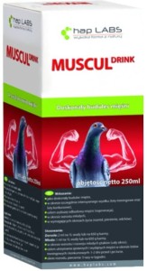 MUSCUL DRINK - NEW 250 ml.