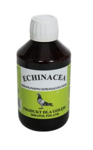 JEZÓWKA PURPUROWA -Echinacea purpura 250 ml.