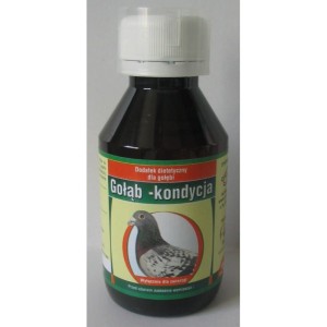 GOŁAB -KONDYCJA 100 ML.