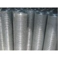 Siatka zgrzewana hodowlana 19x19/0,7mm . Rolka 25 m PROMOCJA !!!! TANIO !!!!